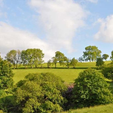 Hendre Aled Farmhouse Llansannan Exterior foto