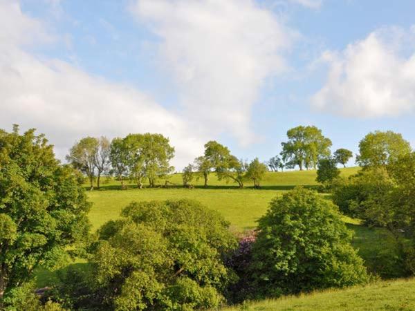 Hendre Aled Farmhouse Llansannan Exterior foto